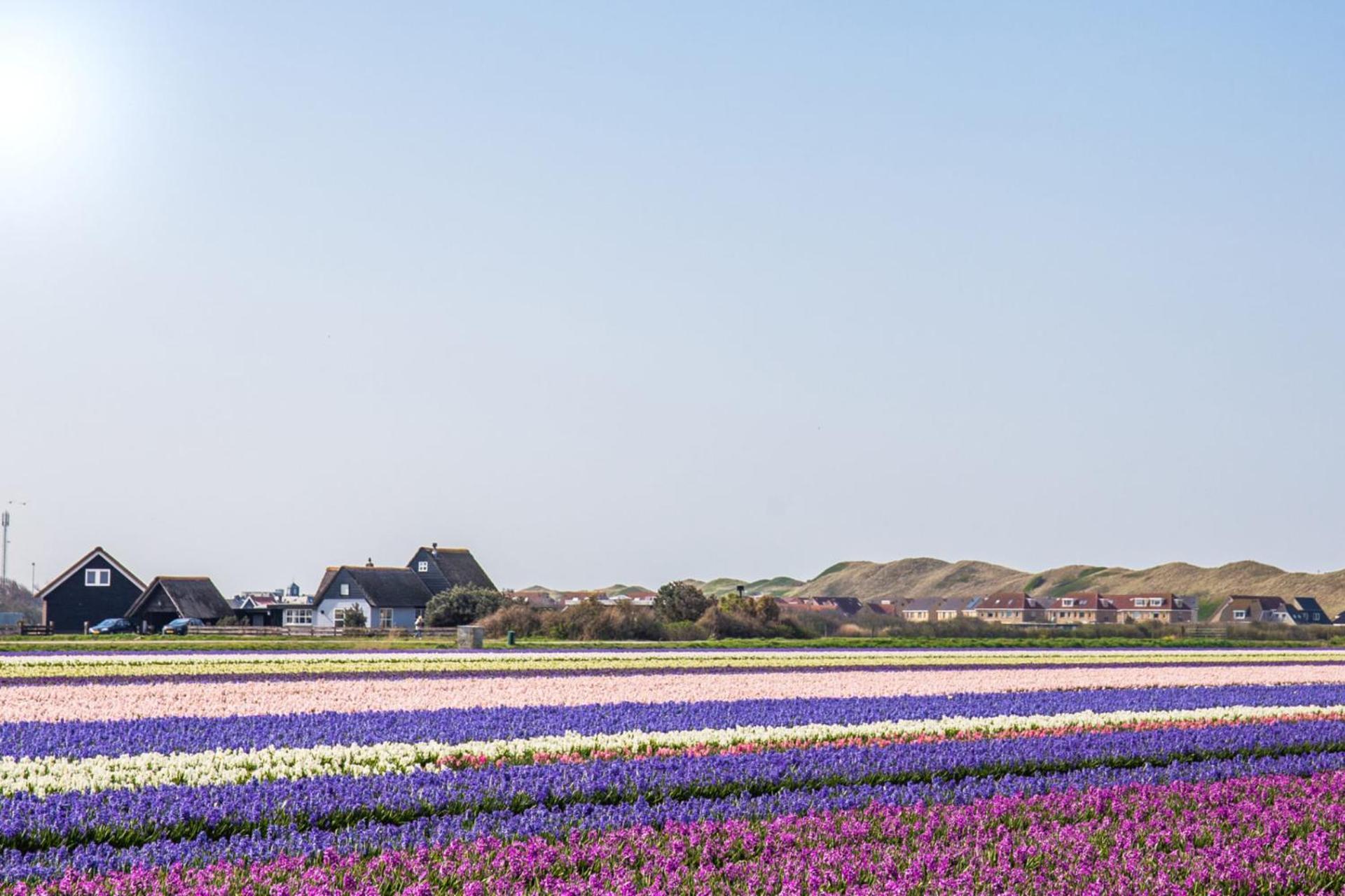 Beach Appartement 17 - Aan De Duinen, Callantsoog Aan Zee 外观 照片