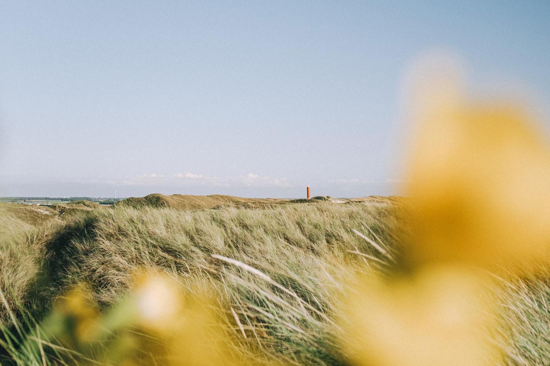 Beach Appartement 17 - Aan De Duinen, Callantsoog Aan Zee 外观 照片